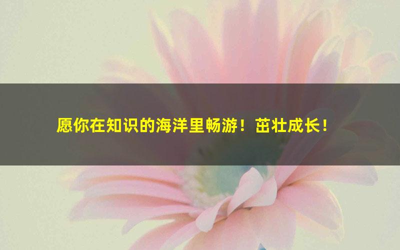 [百度云网盘]学而思张智超一年级语文2021年秋季直播班视频课程